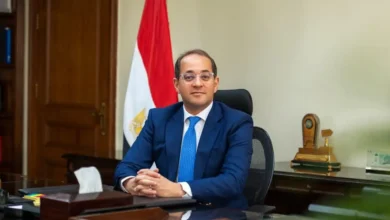 وزير المالية أحمد كجوك وتصريحات برنامج الطروحات الحكومية