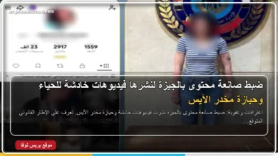 ضبط صانعة محتوى في الجيزة بتهمة نشر فيديوهات خادشة وحيازة مخدر الآيس