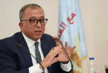 أشرف العربي رئيس معهد التخطيط القومي خلال المؤتمر الدولي حول سوق العمل والتنمية المستدامة