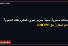 بدر عبد العاطي يلتقي مدير مكتب الأمم المتحدة لخدمات المشروعات
