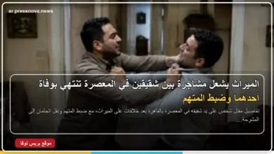نجار ينهي حياة شقيقه بسبب خلافات على الميراث في المعصرة