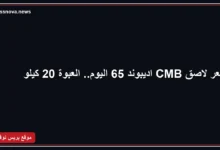 سعر لاصق CMB اديبوند 65 عبوة 20 كيلو