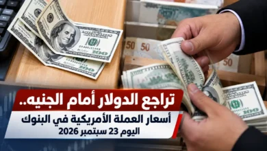 سعر الدولار أمام الجنيه المصري اليوم في البنوك المصرية
