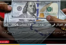 سعر الدولار في مصر اليوم السبت 19 سبتمبر 2026 مقابل الجنيه المصري