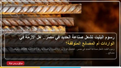 رسوم البليت تشعل صناعة الحديد في مصر وأثرها على مصانع الدرفلة والمصانع المتكاملة
