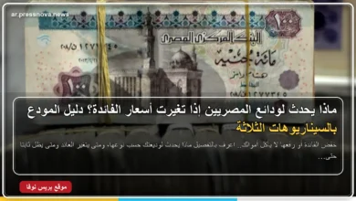 ماذا يحدث لودائع المصريين إذا تغيرت أسعار الفائدة