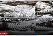 أسعار الفضة اليوم في مصر والعالم وسعر جرام الفضة والأوقية