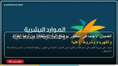 شروط دعم الغذاء والكهرباء في الضمان الاجتماعي المطور